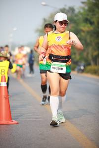 BIB: 26428
                            <button type="button" onclick="openModal(9049499)" class="btn btn-primary btn-sm float-right btn-popup" data-toggle="modal" data-target=".modal-high-quality">
                        <i class="fas fa-shopping-cart"></i> Add to Cart
                    </button>
                                            <button type="button" onclick="isThisMe(9049499, true)" class="btn btn-success btn-sm float-right btn-popup btn-isme hidden" data-toggle="tooltip" data-placement="bottom" title="นี่คือรูปของคุณใช่ไหม คลิกที่นี่เพื่อเอาเข้าอัลบั้ม">
                        <i class="fas fa-plus"></i> Add to album
                    </button>
                    <button type="button" onclick="isThisMe(9049499, false)" class="btn btn-warning btn-sm float-right btn-popup btn-isnotme hidden">
                        <i class="fas fa-ban"></i> Remove from album
                    </button>